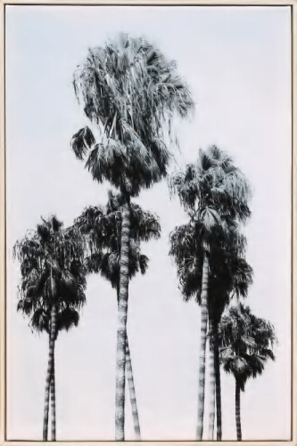 Framed print canvas, 40 × 60 cm, PF-4060-033
